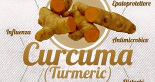 curcuma