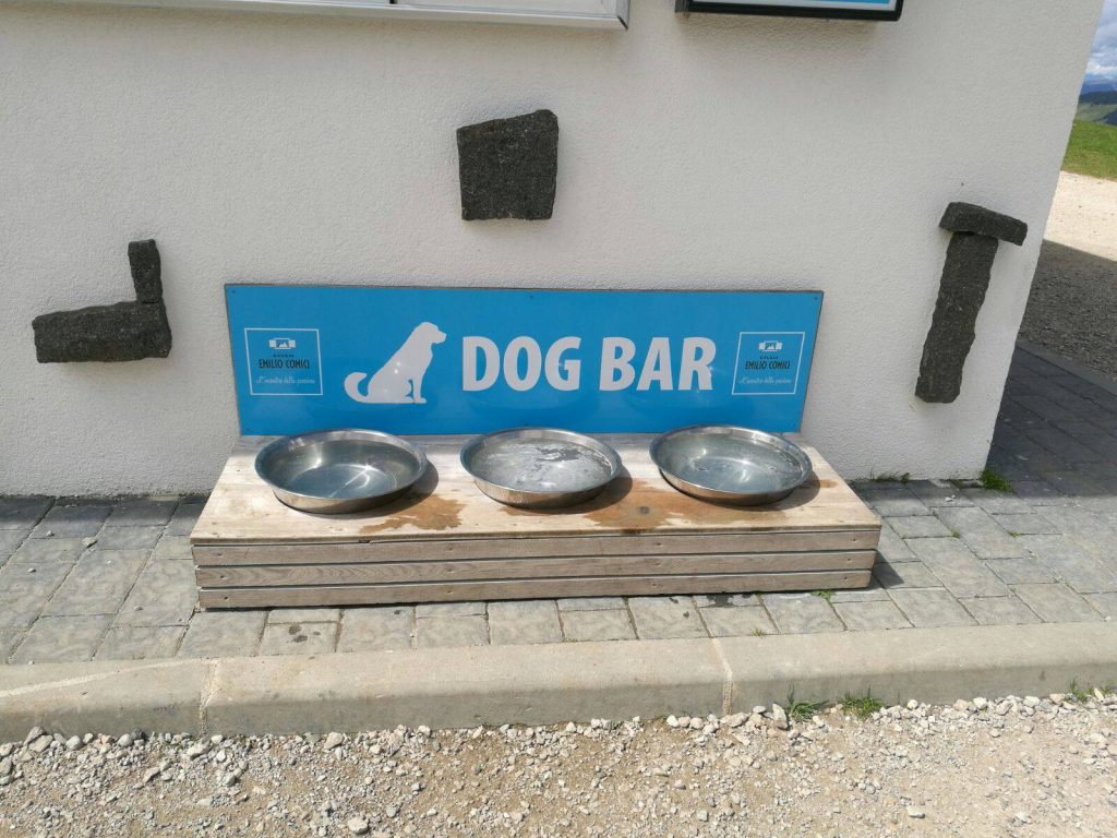 dog bar