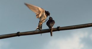 Arte bellezza e cura al carpe diem fotografico