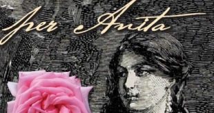 Messa a dimora Rosa "Anita Garibaldi"