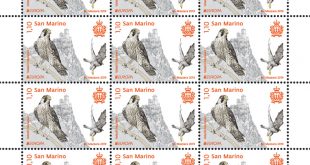Il falco pellegrino finisce sui francobolli
