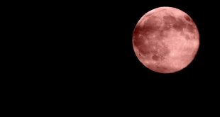 Tutti con il naso all’insù: arriva la luna 'rosa'